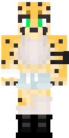 Скин по нику Furry_2453