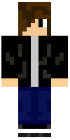 Скин по нику GamecockFan525