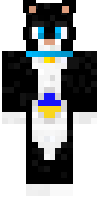 Скин по нику GamerKotMurkot