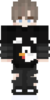 Скин по нику Gamer_MSandro