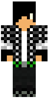 Скин по нику Gamezero