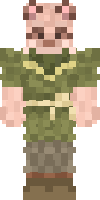 Скин по нику Gianes