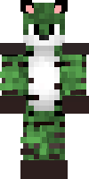 Скин по нику GreenCat