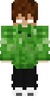 Скин по нику HK_BTLhim1