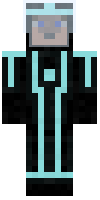 Скин по нику Holly1337