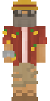 Скин по нику HypixelNPC
