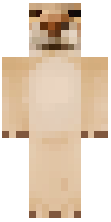 Скин по нику IBODYY