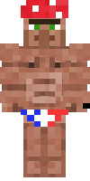 Скин по нику Insane_Genius