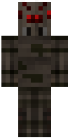 Скин по нику JakeFavre