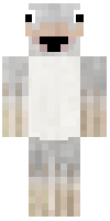 Скин по нику Jonny_Silver