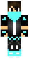 Скин по нику JustinCatBoy