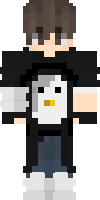 Скин по нику Kit531