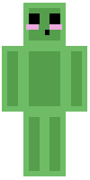 Скин по нику LadyValorous