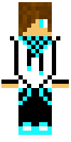 Скин по нику Larlix
