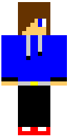 Скин по нику LegoRei