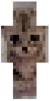 Скин по нику Lennie
