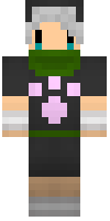 Скин по нику Lily1