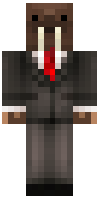 Скин по нику Lord_Skywise