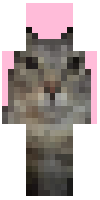 Скин по нику Lunarron_
