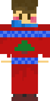Скин по нику MDcrafter