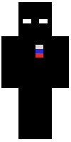 Скин по нику MaxFlayser200