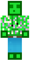 Скин по нику Mega_Slime