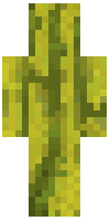 Скин по нику MelonGreen