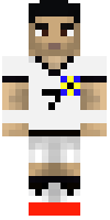 Скин по нику MenicraftGamers