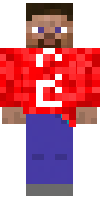 Скин по нику Mikigamer888