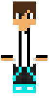 Скин по нику Minecraftboy11