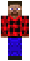 Скин по нику Miner_47