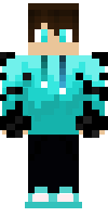 Скин по нику Minetester