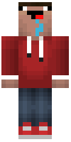 Скин по нику Mister_Craft13
