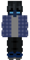 Скин по нику Mister_Night