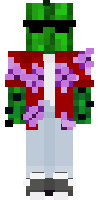 Скин по нику MrCactus