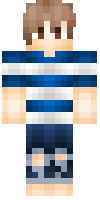 Скин по нику MrCraftinator