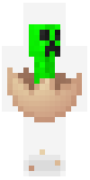 Скин по нику MrCreeperTNT