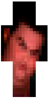 Скин по нику MrHamster772