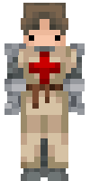 Скин по нику MrShulkerBox