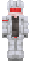 Скин по нику Mr_Barer