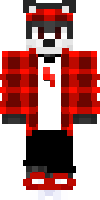 Скин по нику Mr_Enot_