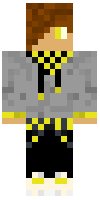 Скин по нику Mr_Fast
