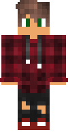 Скин по нику Mr_FluF