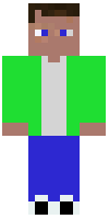 Скин по нику Mr_Forest
