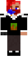 Скин по нику Mr_Foxenis