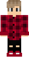 Скин по нику Mr_HaLd