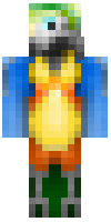 Скин по нику Mr_Parrot