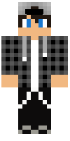 Скин по нику Mr_SCOUT