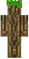 Скин по нику Mr_Tree