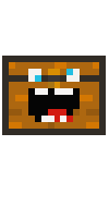 Скин по нику Mr_ZomBie777